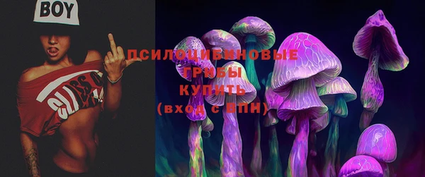 эйфоретик Остров