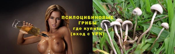 mdpv Осташков