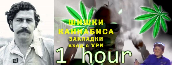 mdpv Осташков