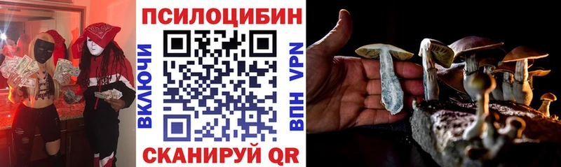 где можно купить   Ессентукская  Псилоцибиновые грибы MAGIC MUSHROOMS 